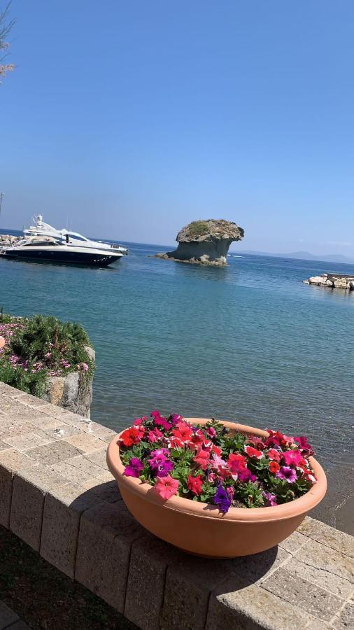 Villa Martina Suite Apartament Lacco Ameno  Zewnętrze zdjęcie