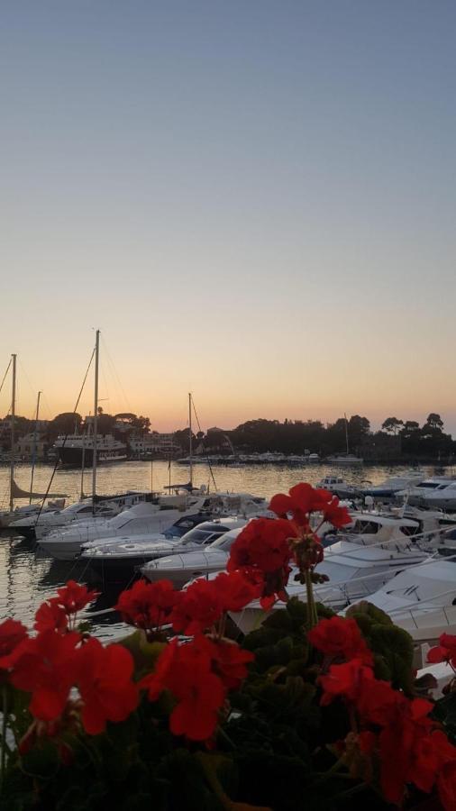 Villa Martina Suite Apartament Lacco Ameno  Zewnętrze zdjęcie